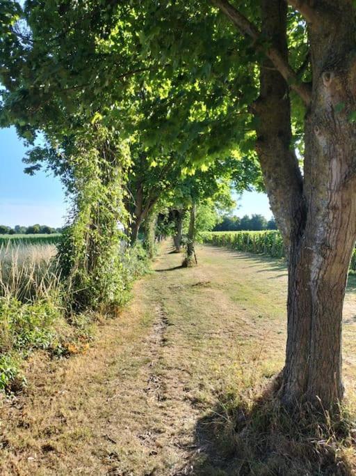 Cosy Cottage With Vineyard View Near Goodwood Chichester Exterior photo